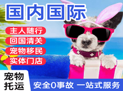 威海机场托运国际宠物托运 【国